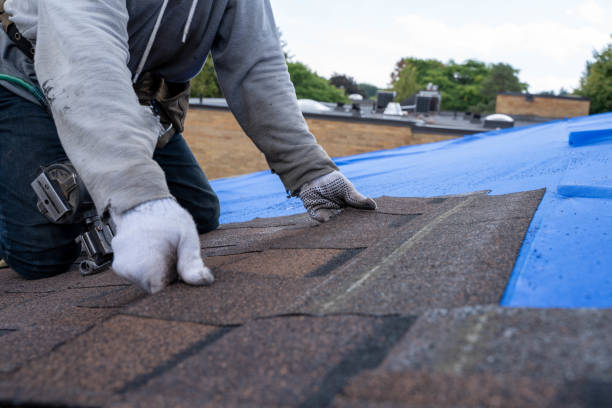Best Storm Damage Roof Repair  in Toluca, IL